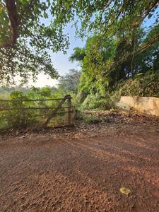 Image of 525 Sq.ft Residential Plot / Land for sale in Salvador Do Mundo, Goa for Rs. 31500000