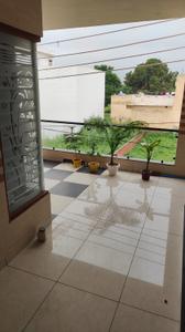 Balcony Image of Mom's pg in Focal Point, Patiala