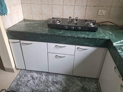 Kitchen Image of 1000 Sq.ft 2 BHK Apartment / Flat for sale in Puri Pratham, Sector 84 Faridabad for Rs. 10500000