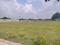 Nova Sangamam Phase III Main Image 1