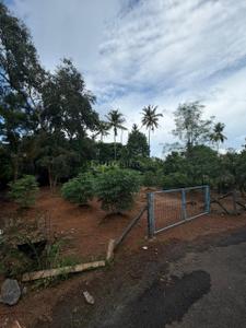 Image of 6097 Sq.ft Residential Plot / Land for sale in Chiyyaram, Thrissur for Rs. 13300000