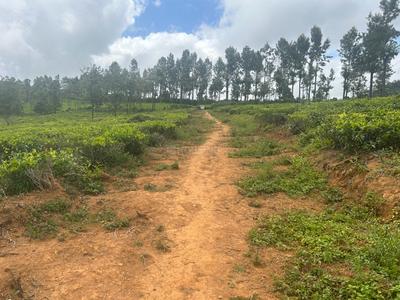 Image of 88000 Sq.ft Residential Plot / Land for sale in Coonoor, Nilgiris for Rs. 20000000
