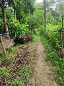 Image of 4320 Sq.ft Residential Plot / Land for sale in Kalyani, Nadia for Rs. 2000000