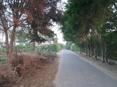 Residential Plot