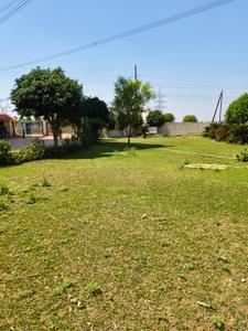 Image of 612 Sq.ft 1 BHK Apartment / Flat for sale in Jaetal Vihar, Habipura, Gwalior for Rs. 1600000
