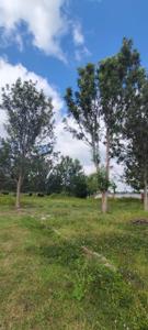 Image of 1350 Sq.ft Residential Plot / Land for sale in Avalapalli Hudco, Hosur for Rs. 1160000
