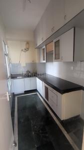Kitchen Image of 1105 Sq.ft 2 BHK Apartment / Flat for rent in DLF Regency Park 1, DLF Phase 4 Gurgaon for Rs. 50000