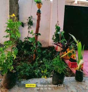Image of 1540 Sq.ft 2 BHK Independent House for sale in Gandiguda, Hyderabad for Rs. 13000000