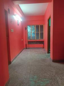 Hall Image of Debasree roy  in Purba Barisha, Kolkata