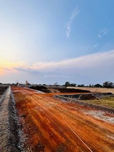 Image of 1200 Sq.ft Residential Plot / Land for sale in Amrita Vaikunth Residency, Bodri, Bilaspur for Rs. 2998801
