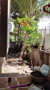 Image of 897 Sq.ft 2 BHK Independent House for sale in Sachin, Surat for Rs. 3000000