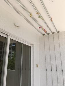 Balcony Image of 1250 Sq.ft 3 BHK Apartment / Flat for rent in Godrej Rejuve, Keshav Nagar Pune for Rs. 50000