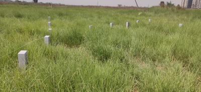 Image of 1200 Sq.ft Residential Plot / Land for sale in Danapur, Patna for Rs. 2640000