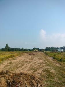 Image of 1800 Sq.ft Residential Plot / Land for sale in Bhauwala, Dehradun for Rs. 5000000