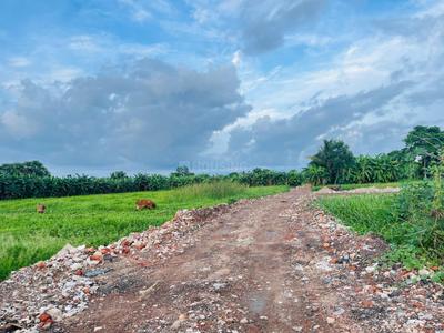 Image of 1440 Sq.ft Residential Plot / Land for sale in Natures Paradise Phase II, Joka, Kolkata for Rs. 120000