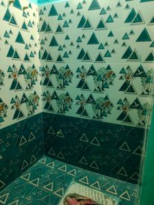 Bathroom Image of 750 Sq.ft 2 BHK Apartment / Flat for rent in Punjarasanthangal Kanchipuram for Rs. 8500