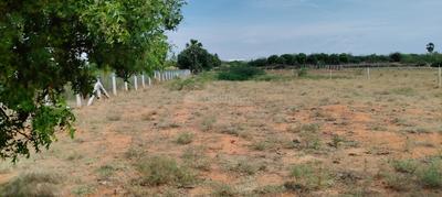 Image of 35000 Sq.ft Residential Plot / Land for sale in Korampallam, Thoothukudi for Rs. 10200000