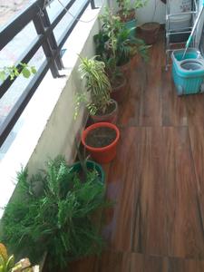 Balcony Image of 675 Sq.ft 3 BHK Apartment / Flat for sale in Lariya Valley Phase 1, Chaukhan Jodhpur for Rs. 4400000