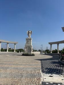 Image of 1000 Sq.ft Residential Plot / Land for sale in Pearl Sapt Sarovar, Higonya, Indore for Rs. 4900000