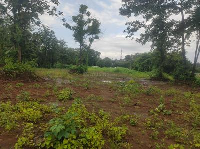 Image of 163350 Sq.ft Residential Plot / Land for sale in Murbad, Thane for Rs. 75000000