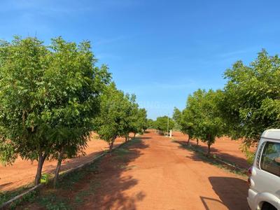 Image of 1200 Sq.ft Residential Plot / Land for sale in Tiruchirappalli City, Tiruchirappalli for Rs. 450000