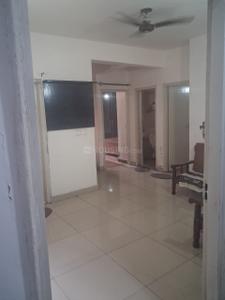 Hall Image of 1250 Sq.ft 1 BHK Independent House for rent in Model Town Panipat for Rs. 14700