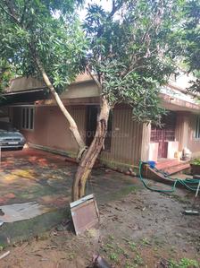 Image of 1050 Sq.ft 2 BHK Farm House for sale in Kolazhy, Thrissur for Rs. 9000000