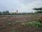 Perne Plot View 2