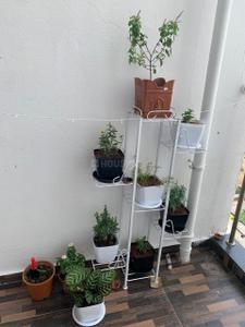 Balcony Image of 900 Sq.ft 2 BHK Apartment / Flat for rent in Kolte Patil Life Republic R4, Nerhe Pune for Rs. 31000