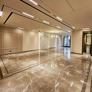 Living Room Image of 1900 Sq.ft 3 BHK Builder Floor for sale in Ashok Vihar New Delhi for Rs. 39500000