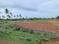 Bhogapuram Plot View 2