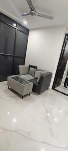 Hall Image of 1400 Sq.ft 2 BHK Builder Floor for rent in HUDA Plot Sector 42, Sector 42 Gurgaon for Rs. 60000