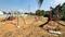 Kns hills view  Plot View 2