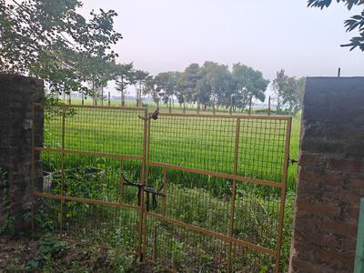 Image of 21600 Sq.ft Residential Plot / Land for sale in Galsi, Bardhaman for Rs. 200000