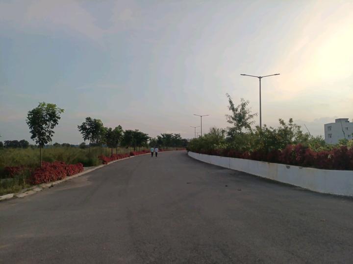 Mypi Lush Green Main Image 1