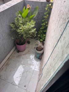 Balcony Image of 1200 Sq.ft 3.5 BHK Duplex for sale in Ibrahimganj Bhopal for Rs. 6000000