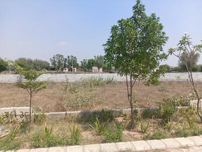 Image of 1098 Sq.ft Residential Plot / Land for sale in Kanakpura, Jaipur for Rs. 6100000