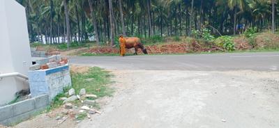 Image of 1968 Sq.ft Residential Plot / Land for sale in Mahalingapuram, Pollachi for Rs. 3000000