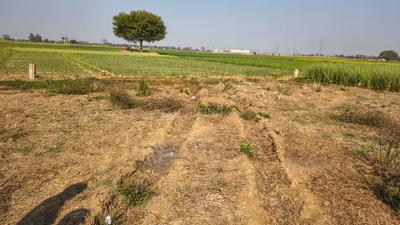 Image of 1000 Sq.ft Residential Plot / Land for sale in Naubatpur, Patna for Rs. 2300000
