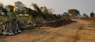 Image of 900 Sq.ft Residential Plot / Land for sale in Naini, Allahabad for Rs. 600000