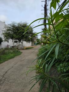 Image of 1500 Sq.ft Residential Plot / Land for sale in Bagmugaliya, Bhopal for Rs. 9050000
