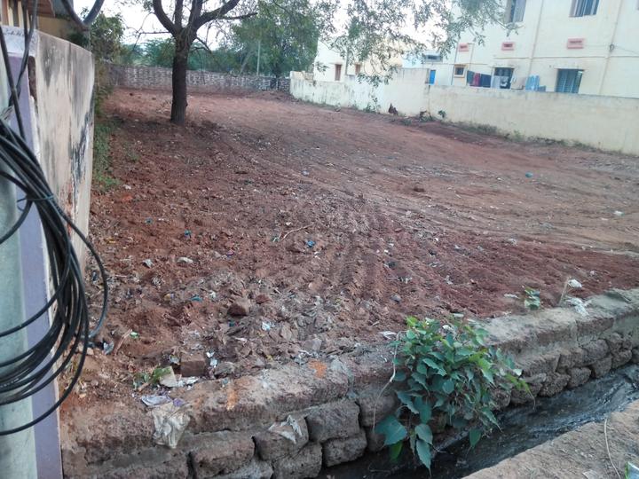 Kavali Main Image 1