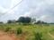 Sai Prakash Plot View 2