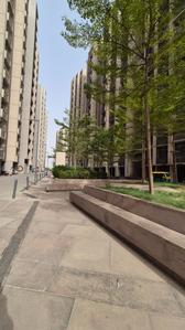 Image of 1485 Sq.ft 3 BHK Apartment / Flat for sale in Orchid Sky, Shela, Ahmedabad for Rs. 7500000
