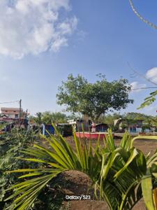 Barela Plot View 3