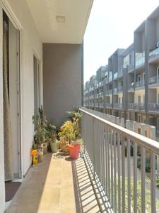 Living Room Image of 1712 Sq.ft 3 BHK Apartment / Flat for sale in Smartworld Orchard, Sector 61 Gurgaon for Rs. 29500000
