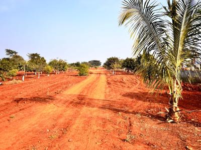 Image of 4650 Sq.ft Residential Plot / Land for sale in Chevella, Hyderabad for Rs. 6100000
