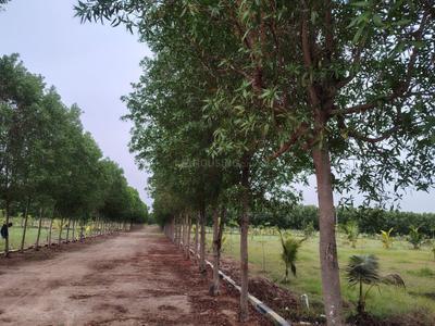 Image of 14000 Sq.ft Residential Plot / Land for sale in Kachipuram Town, Kanchipuram for Rs. 4200000