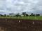 Wagholi Plot View 2