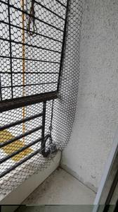 Balcony Image of 650 Sq.ft 1 BHK Apartment / Flat for sale in Dombivli West Thane for Rs. 4600000